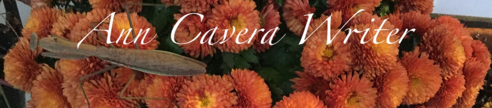 Ann Cavera Writer - fall banner